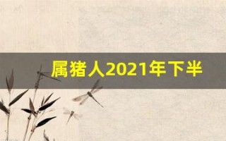 属猪人2021年下半年运势及运程(属猪人2021年下半年的运势)
