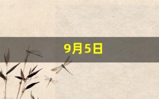 9月5日(9月5日生日性格特点)