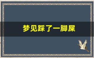 梦见踩了一脚屎(女人梦见脚踩大便预示着什么)