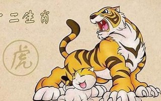 本命年虎年要注意什么佩戴什么(本命年要佩戴什么吉祥物)