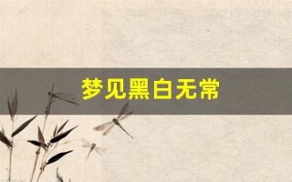 梦见黑白无常(8个梦境证明你有前世)