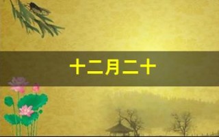 十二月二十(十二月二十二是什么星座)