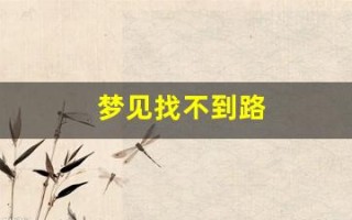 梦见找不到路(梦见找不到路回家)
