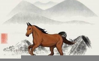 2022年属马的全年运势(2022年属马全年运势详解)