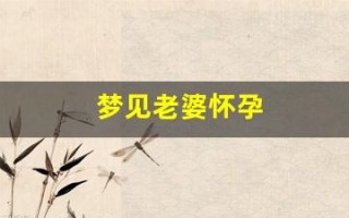 梦见老婆怀孕(梦见老婆怀孕三胎什么预兆)