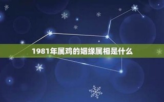 1981年属鸡的人2013年运程(1981年的鸡人2021年运势)