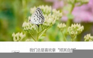 四月廿二(四月廿二是多少号)
