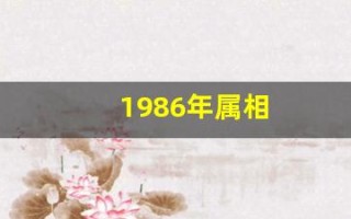 1986年属相(1986年属相今年多大了)