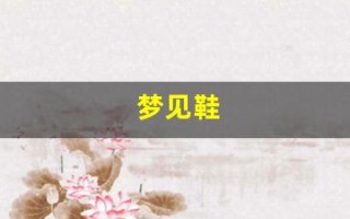 梦见鞋(梦见鞋破了什么意思)