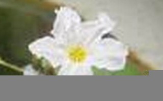 2016年5月30日(2016年5月30日农历是哪一天1农历2016年4月24日)