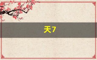 天7