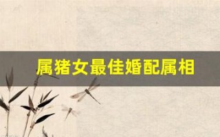 属猪女最佳婚配属相(属猪女最佳婚配属相猴男好吗)