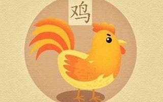 属鸡(属鸡的年份有哪几年)