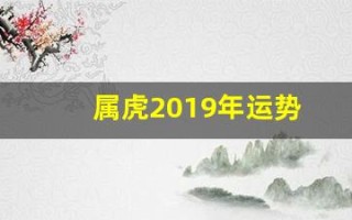 属虎2019年运势(生肖虎2019年运势大全)
