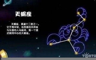 射手座-性格分析(射手座性格分析女)
