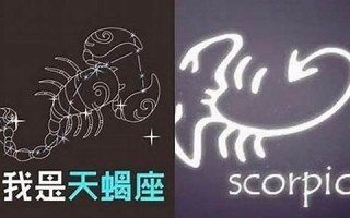 巨蟹女和天蝎男(狮子女天蝎男配对指数)