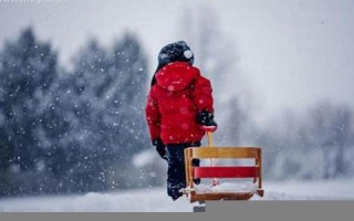 梦见下雪了是什么预兆(梦见下雪了是什么预兆 女性)
