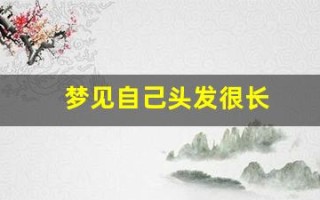 梦见自己头发很长(梦见自己头发很长是什么兆头)