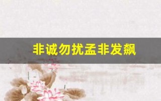 非诚勿扰孟非发飙(《非诚勿扰》孟非)