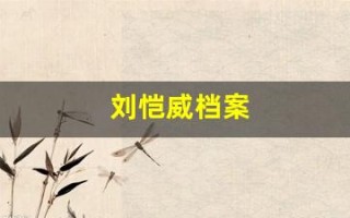 刘恺威档案(刘恺威履历)