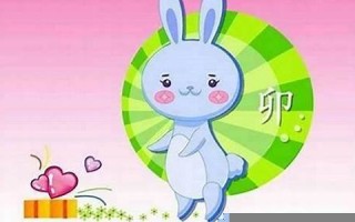 属兔的几月出生好(属兔的几月出生好不好)