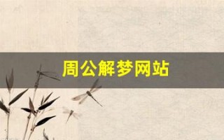 周公解梦网站(周公解梦网站做梦梦见自己开汽车追别人尾)