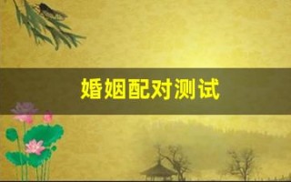 婚姻配对测试(婚姻配对测试免费)
