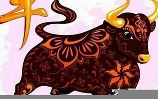 牛年运程(牛年运程2021)