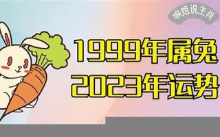 属兔2023年的运势及运程(属兔2023年的运势及运程1987年)