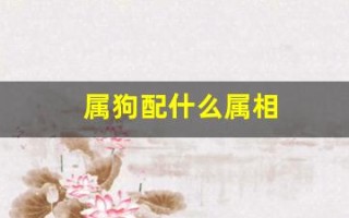 属狗配什么属相(属狗配什么属相合适婚姻呢)