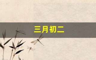 三月初二(1999年三月初二)