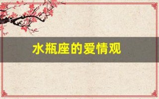 水瓶座的爱情观