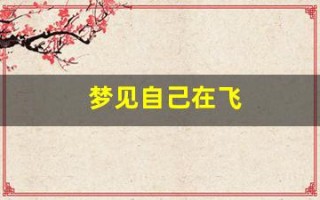 梦见自己在飞(梦见自己在飞翔)
