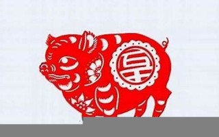85年属什么的(69年属什么生肖多少岁)