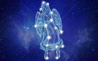 处女座(处女座是什么星象属性)