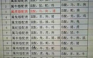 94年属什么的生肖(94年12月属什么的生肖)
