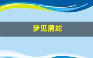 梦见黑蛇(梦见黑蛇是什么预兆男人)