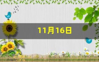 11月16日(11月16日是什么星座)