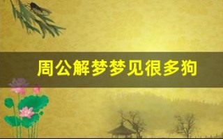 周公解梦梦见很多狗(周公解梦梦见很多狗围着我)