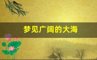 梦见广阔的大海(梦见宽阔的大海风景很好)