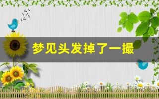 梦见头发掉了一撮(梦见头发掉了一撮头露个洞什么意思)