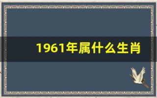 1961年属什么生肖(农历1961年属什么生肖)