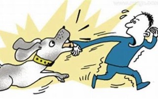 梦见被狗咬手(男人梦见狗咬手是什么预兆)