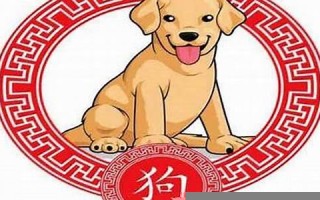 属狗的是哪年出生(属狗的是哪年出生的人呢女性)