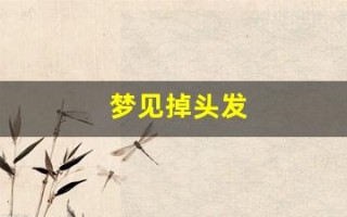 梦见掉头发(梦见掉头发一抓掉一大把)