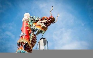 属龙人出生月的命运(属龙人出生月的命运)