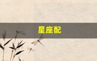 星座配(星座配对测试)