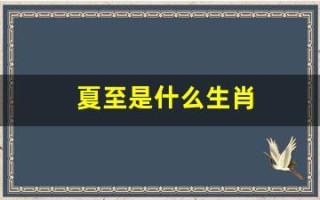 夏至是什么生肖(夏至是什么生肖正确答案)