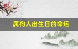 属狗人出生日的命运(属狗人出生日命运时辰)
