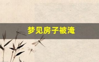梦见房子被淹(梦见房子被淹没在水里)